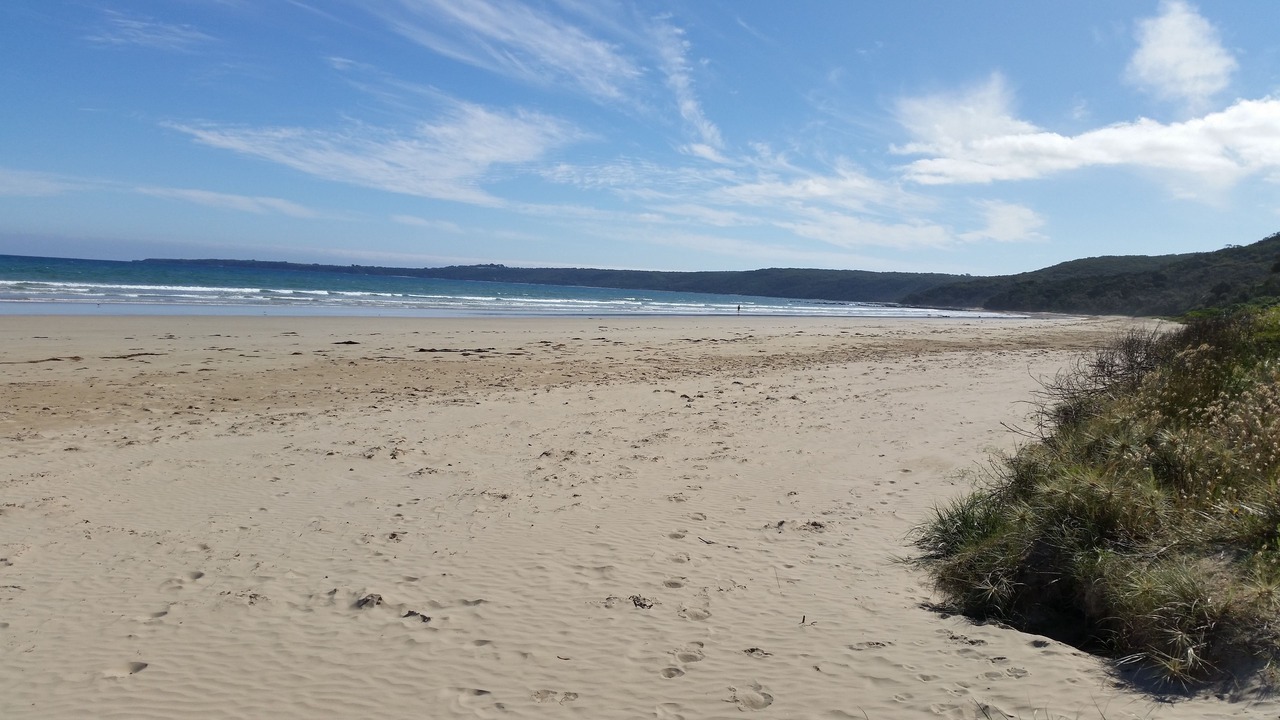 Photo of Others in Toora