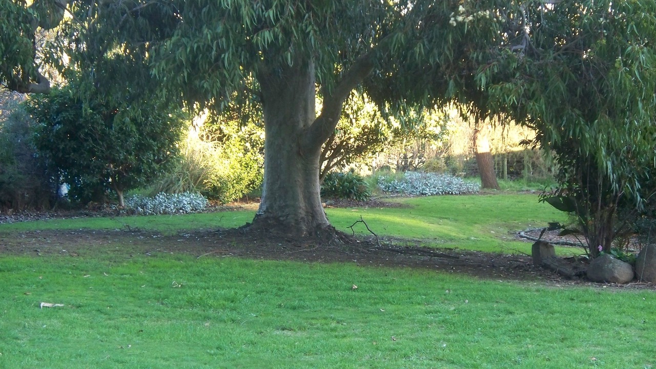 Photo of Outdoor in Toora