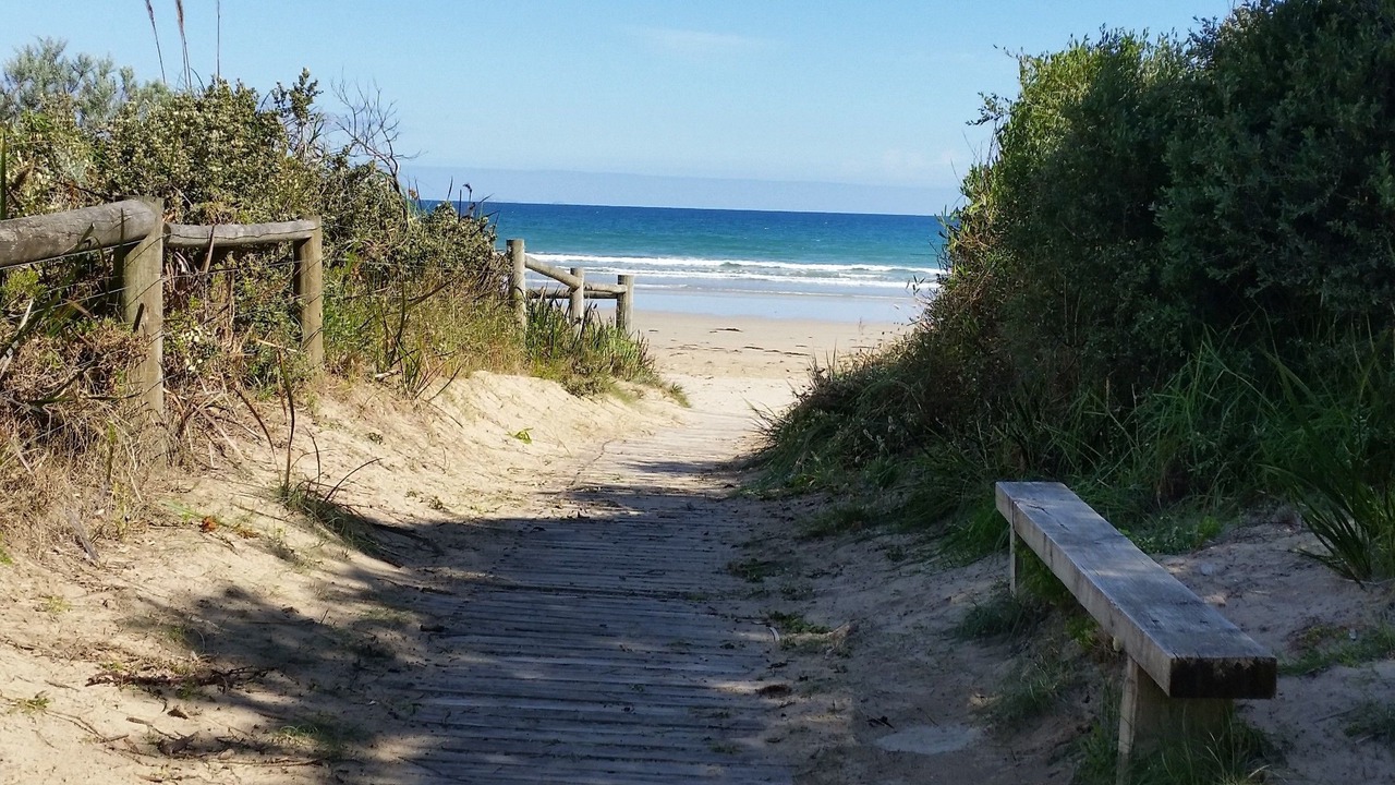 Photo of Others in Toora