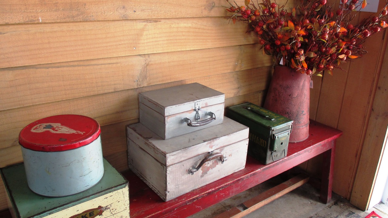 Photo of Others in Piopio