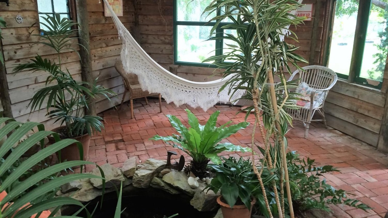 Photo of Outdoor in Old Noarlunga