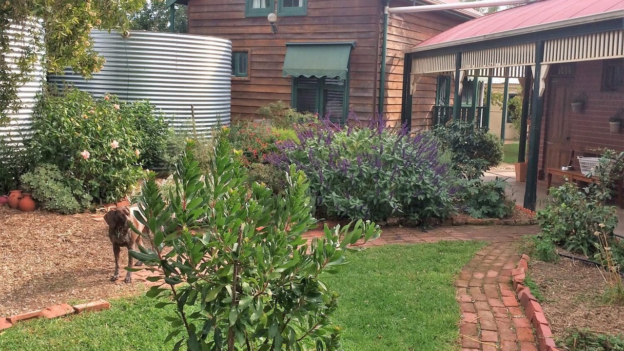 Photo of Outdoor in Old Noarlunga