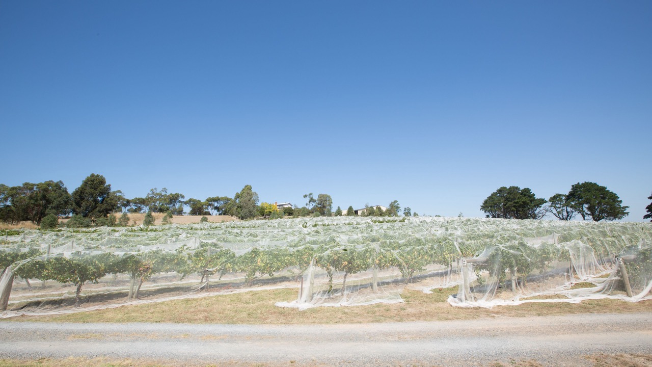 Photo of Outdoor in Dixons Creek