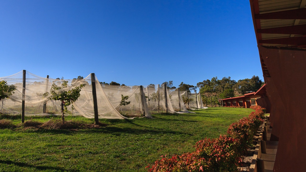 Photo of Outdoor in Dixons Creek