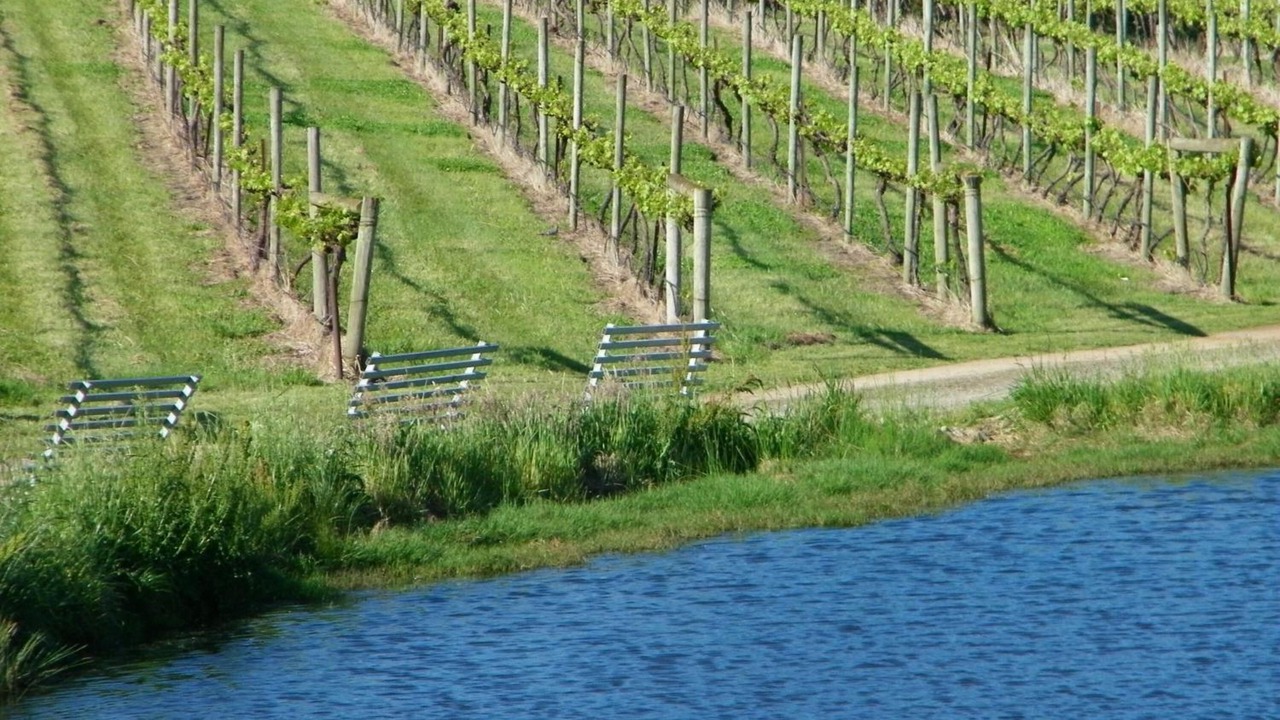 Photo of Outdoor in Dixons Creek