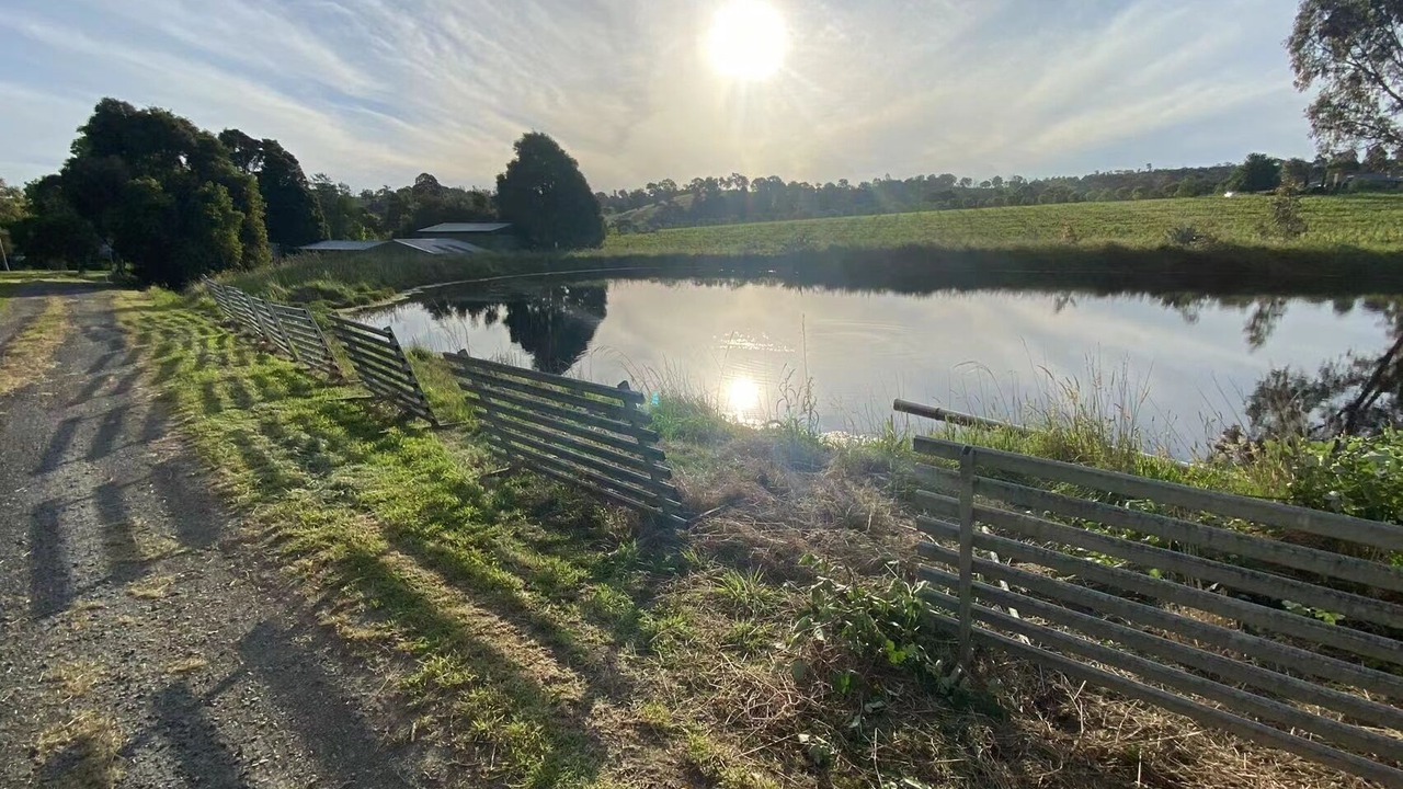 Photo of Outdoor in Dixons Creek