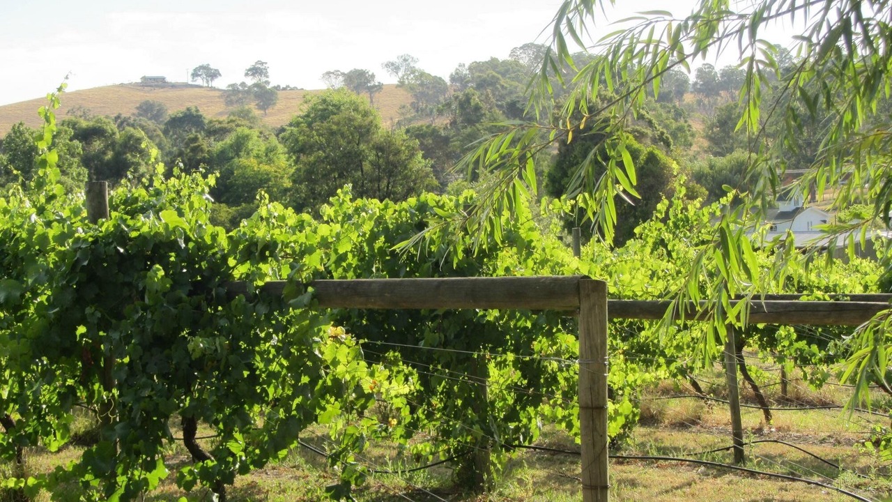 Photo of Outdoor in Dixons Creek