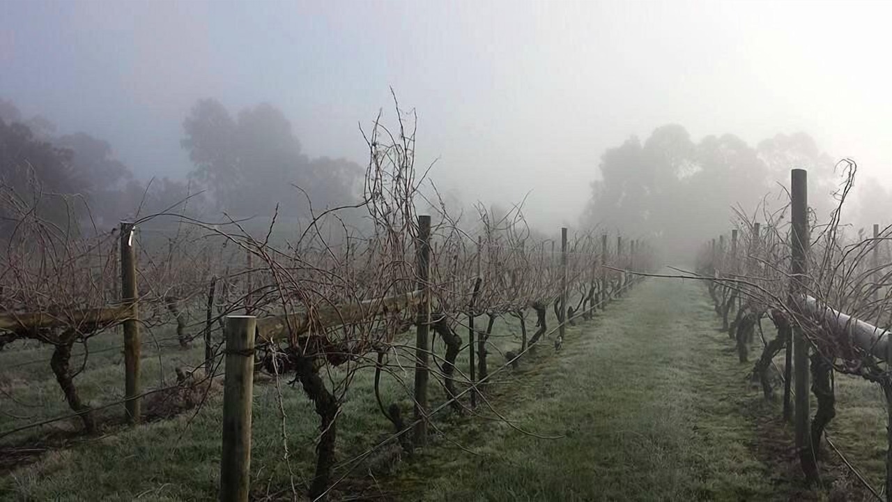 Photo of Outdoor in Dixons Creek