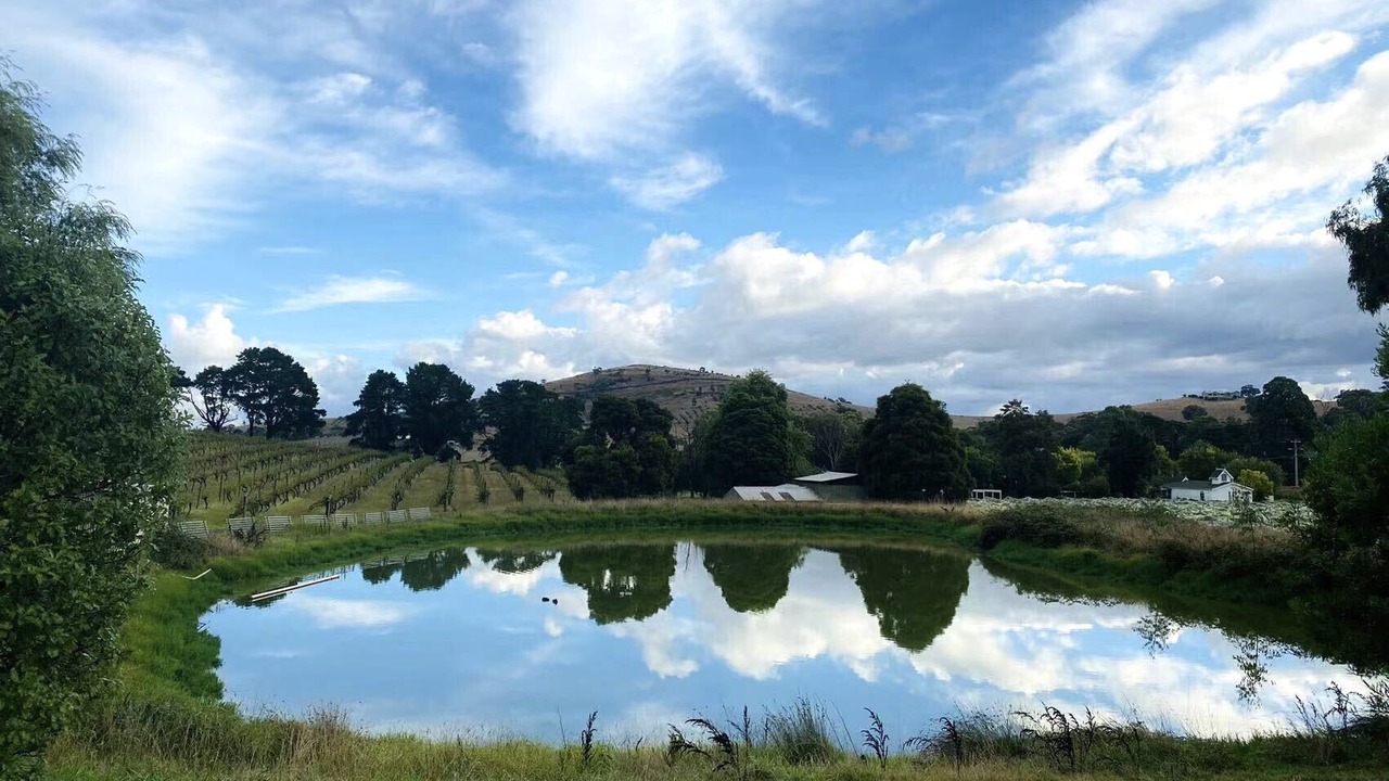 Photo of Others in Dixons Creek