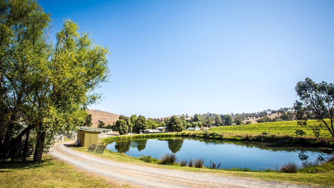 Photo of Outdoor in Dixons Creek