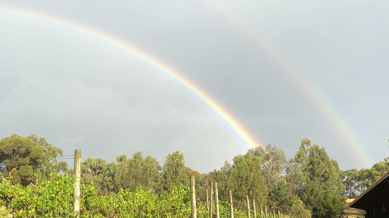 Photo of Patio Balcony in Dixons Creek