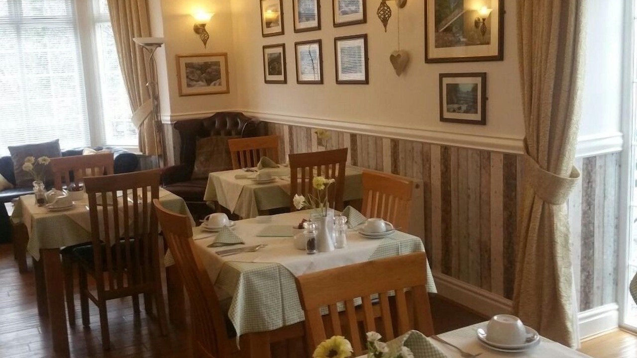 Photo of Others in Snowdonia National Park