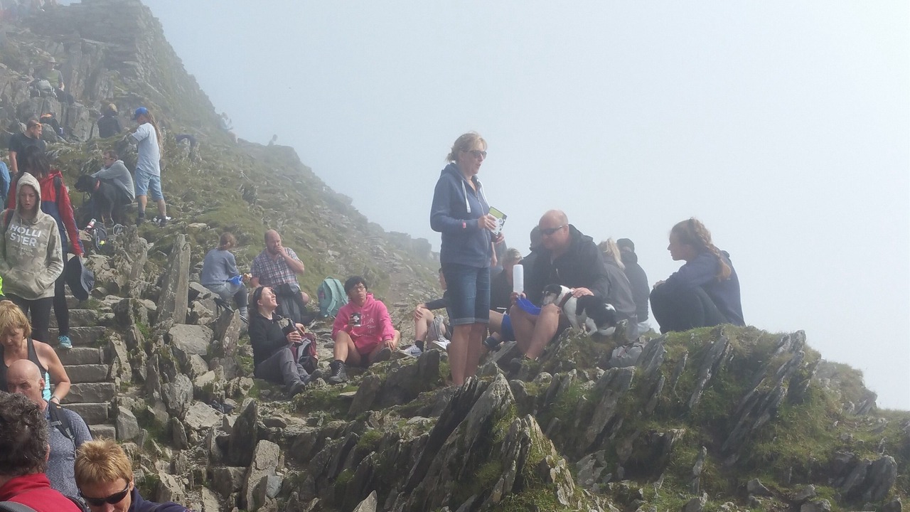 Photo of Others in Snowdonia National Park