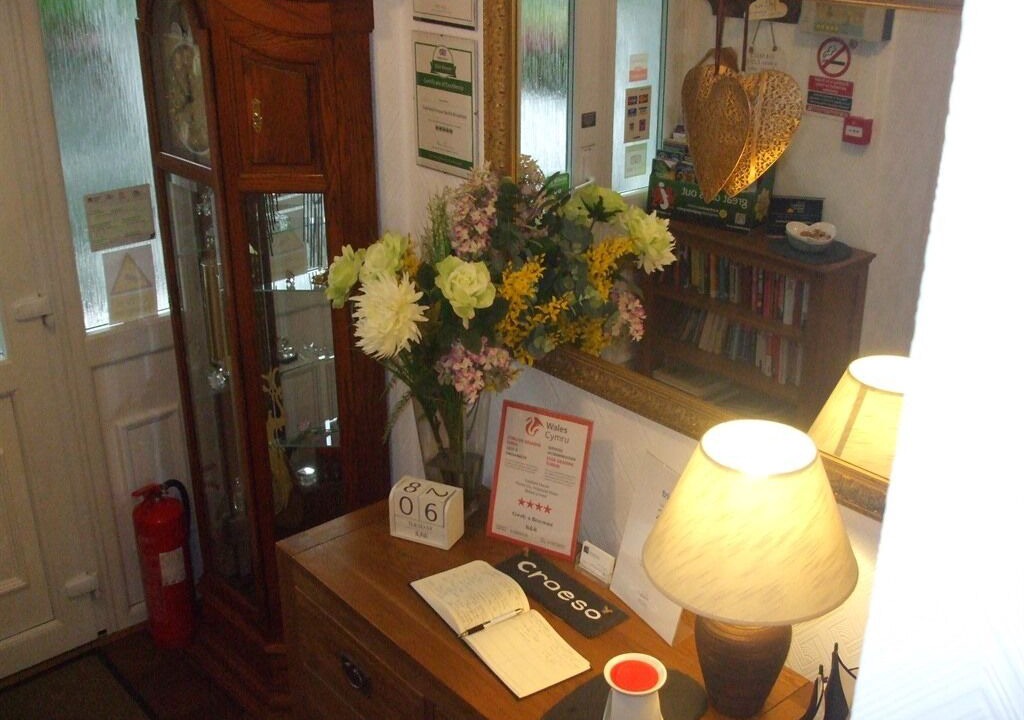 Photo of Others in Snowdonia National Park