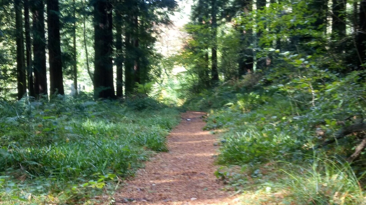 Photo of Outdoor in Snowdonia National Park