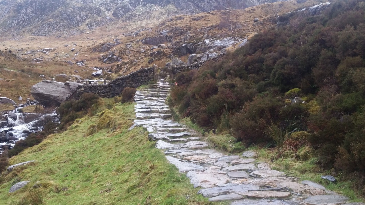 Photo of Others in Snowdonia National Park