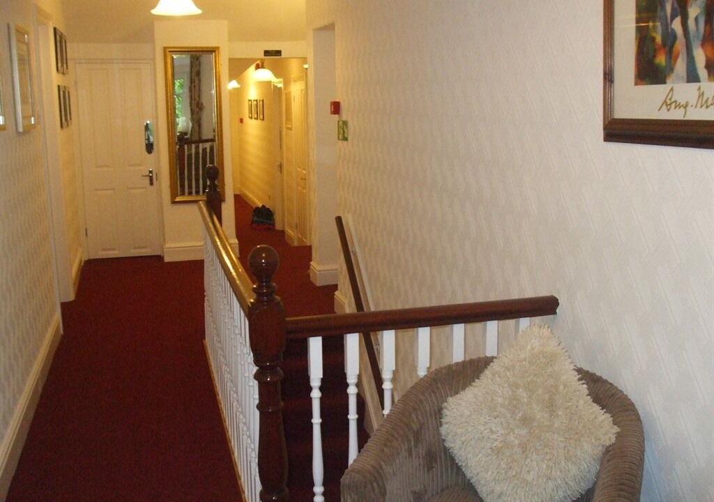 Photo of Others in Snowdonia National Park