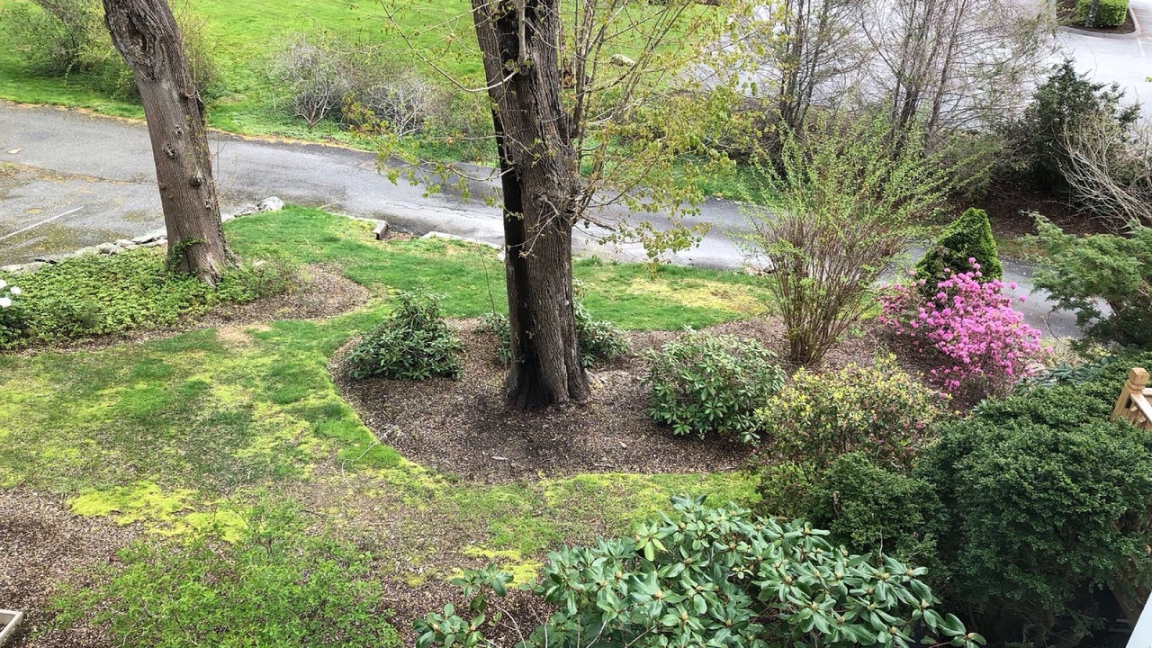 Photo of Outdoor in Yarmouth Port