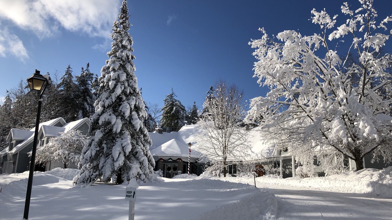 Photo of Outdoor in Stowe Area