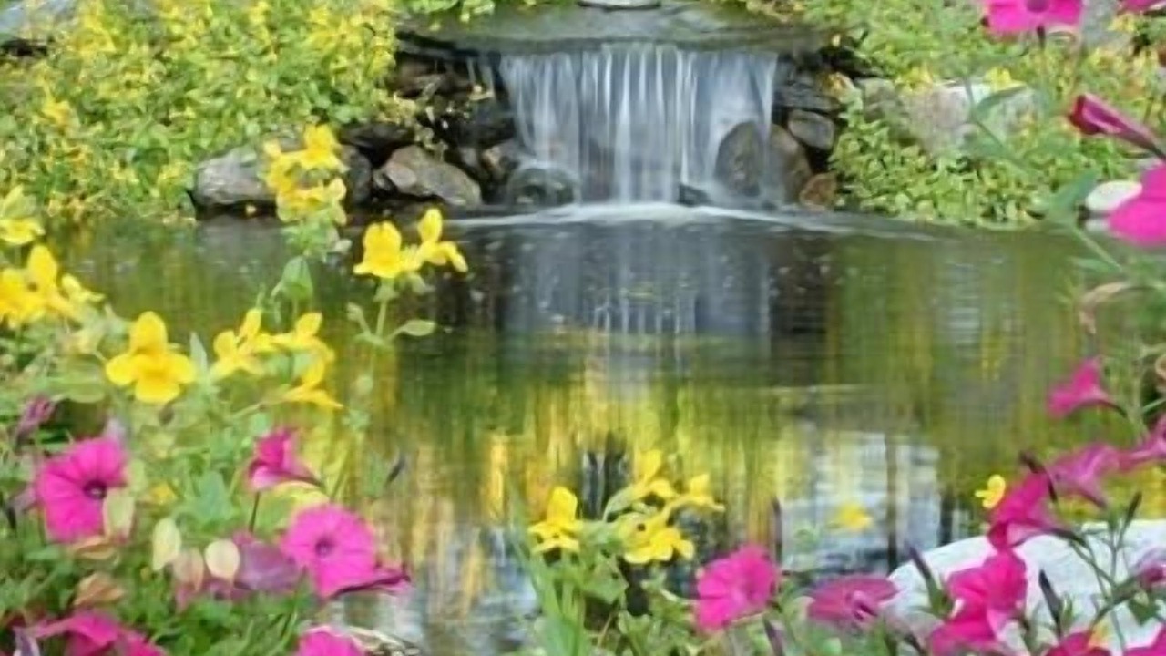 Photo of Outdoor in Stowe Area