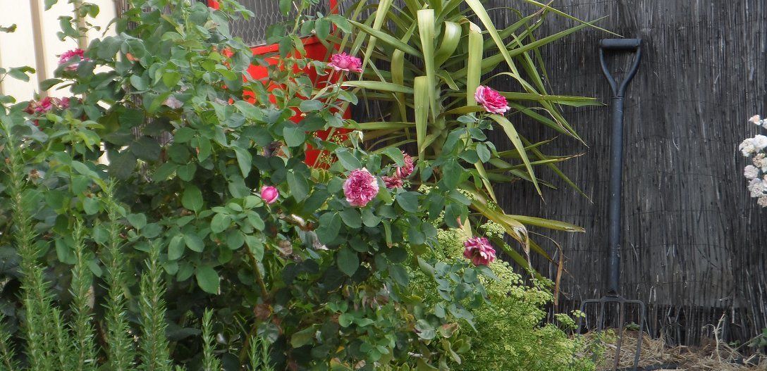 Photo of Others in Hay