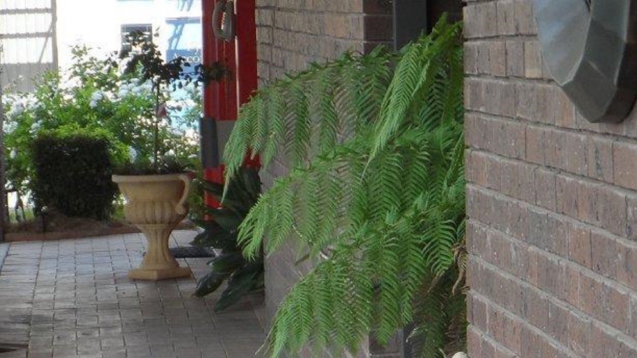 Photo of Outdoor in Hay