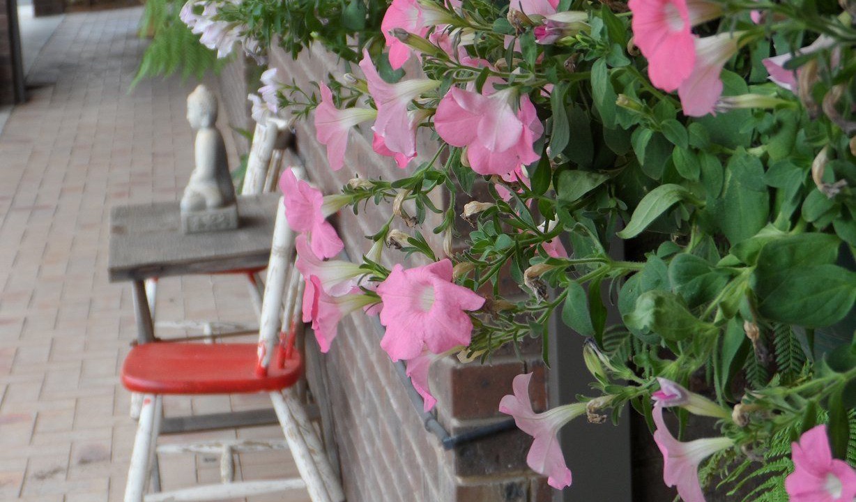 Photo of Others in Hay