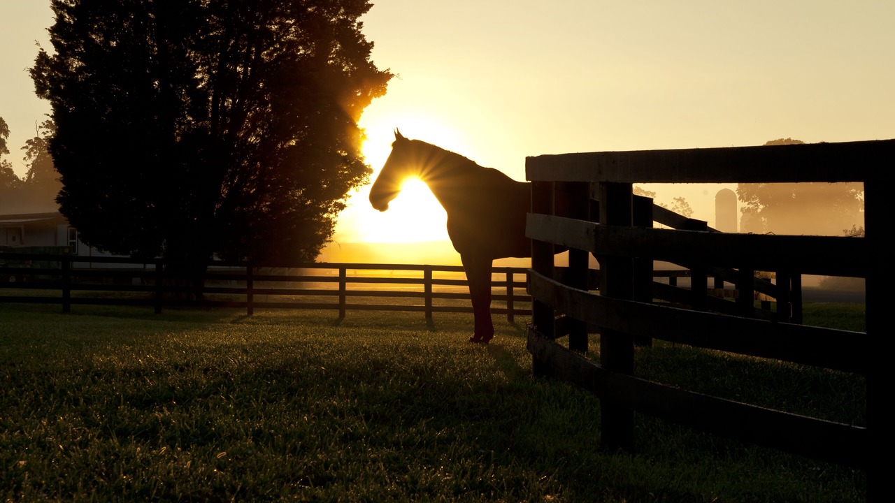 Photo of Outdoor in Middleburg