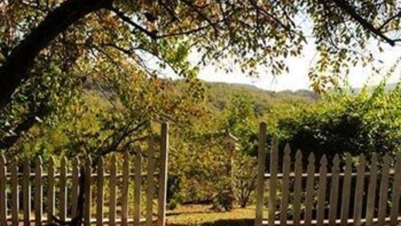 Photo of Outdoor in Saluda