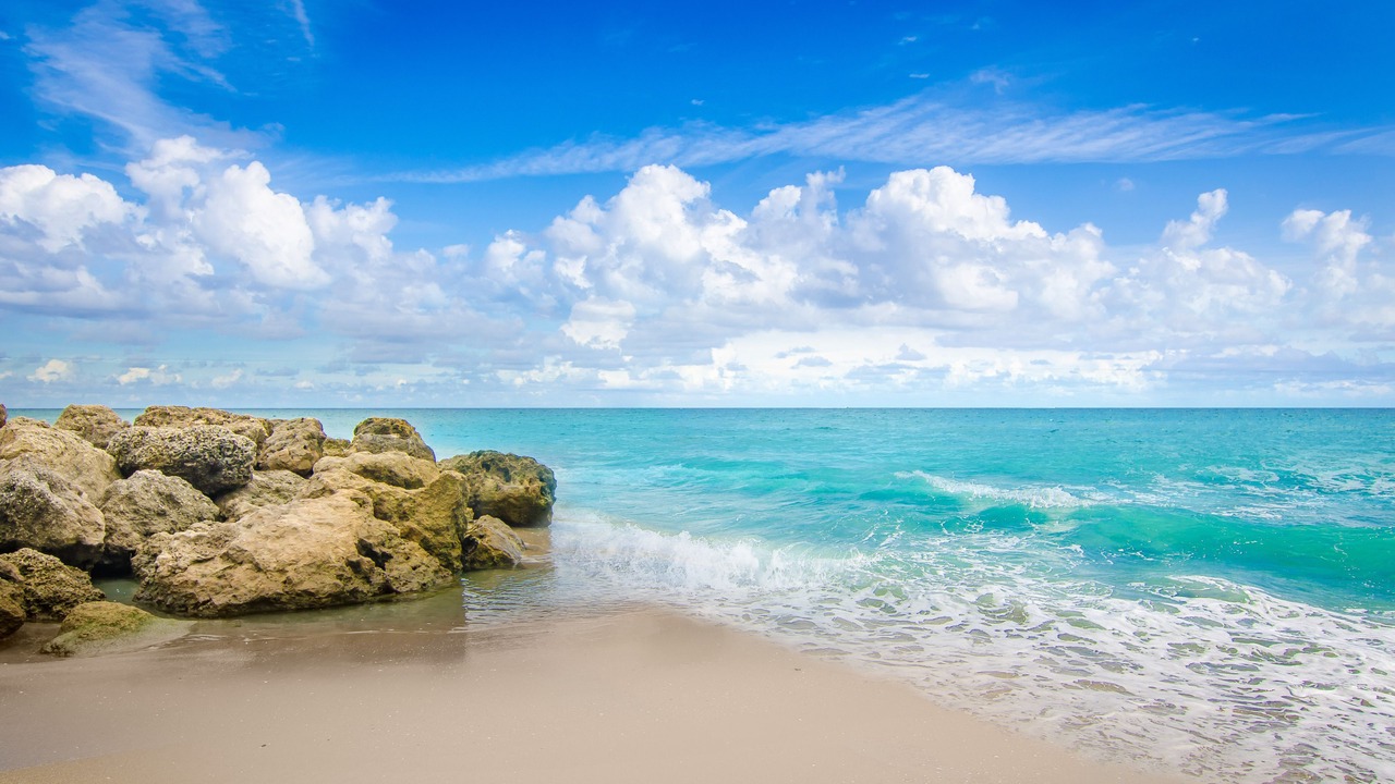 Photo of Others in Palm Beach