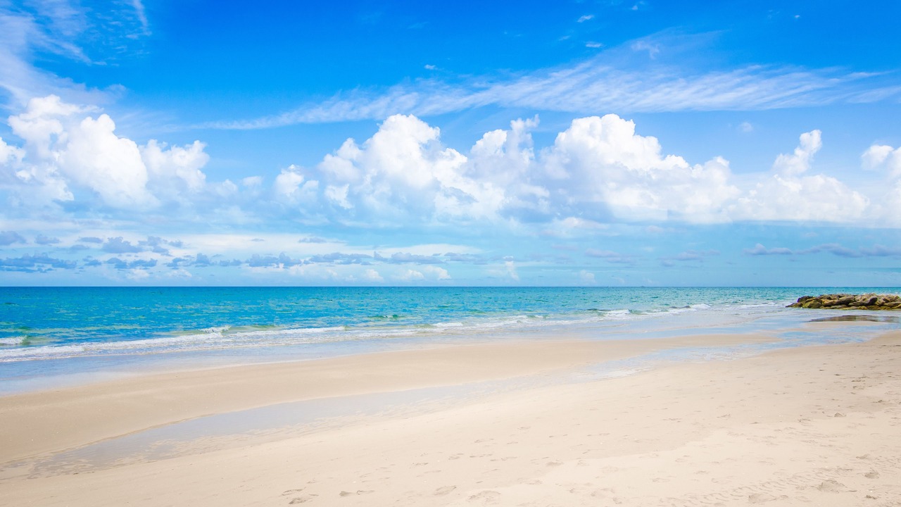 Photo of Others in Palm Beach