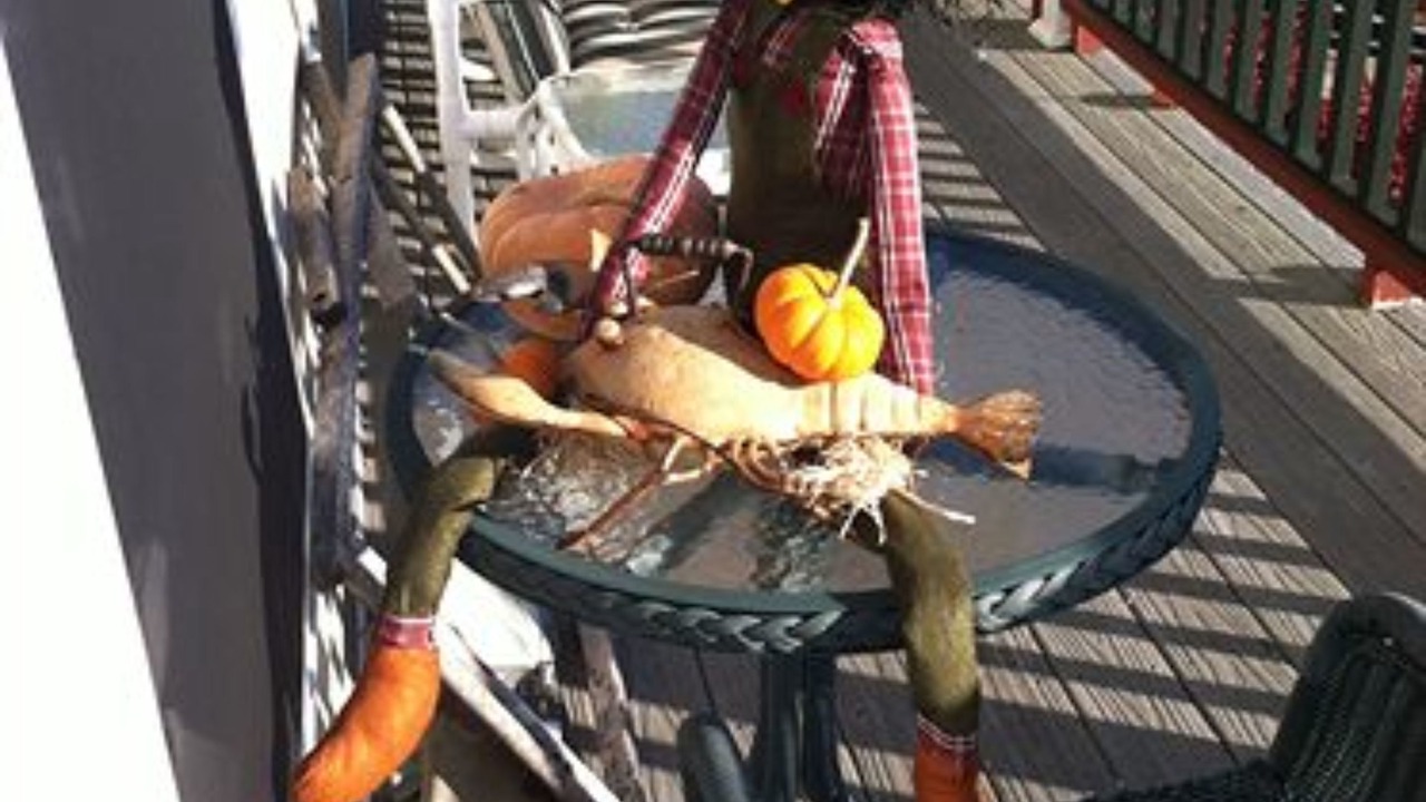 Photo of Outdoor in Hull