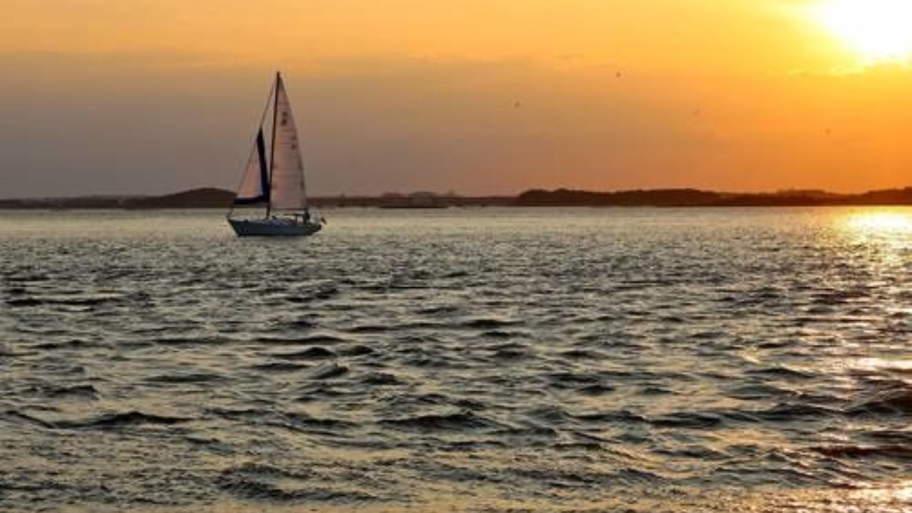 Photo of Others in Hull