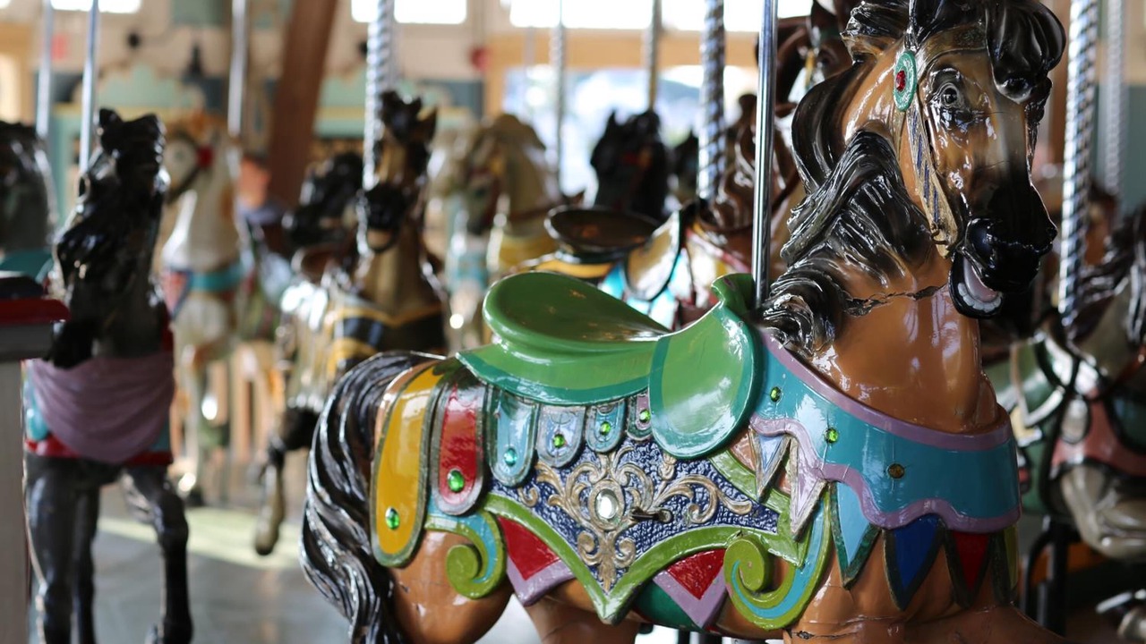 Photo of Others in Hull