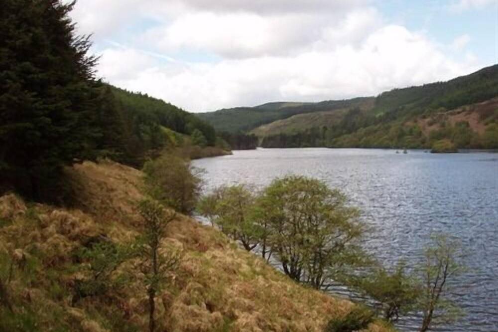 Photo of Others in Bargrennan