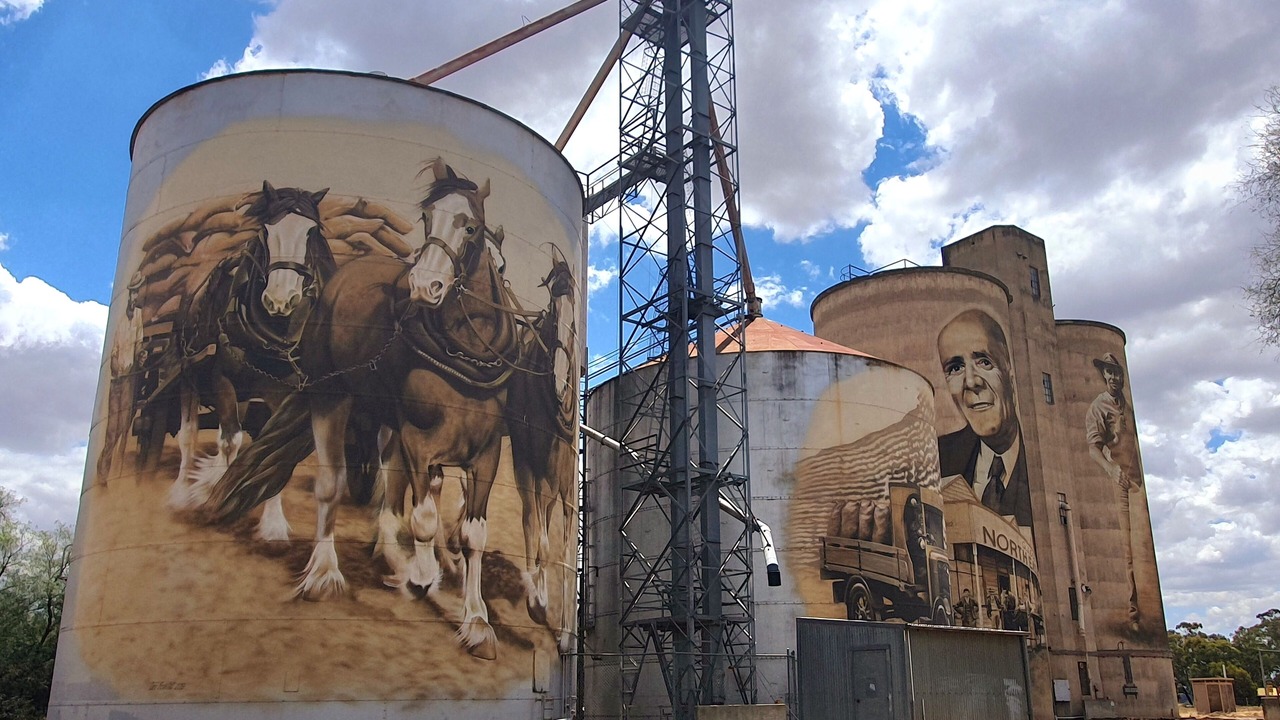 Photo of Others in Shepparton