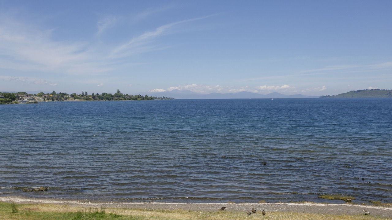 Photo of Bedroom in Waipahihi