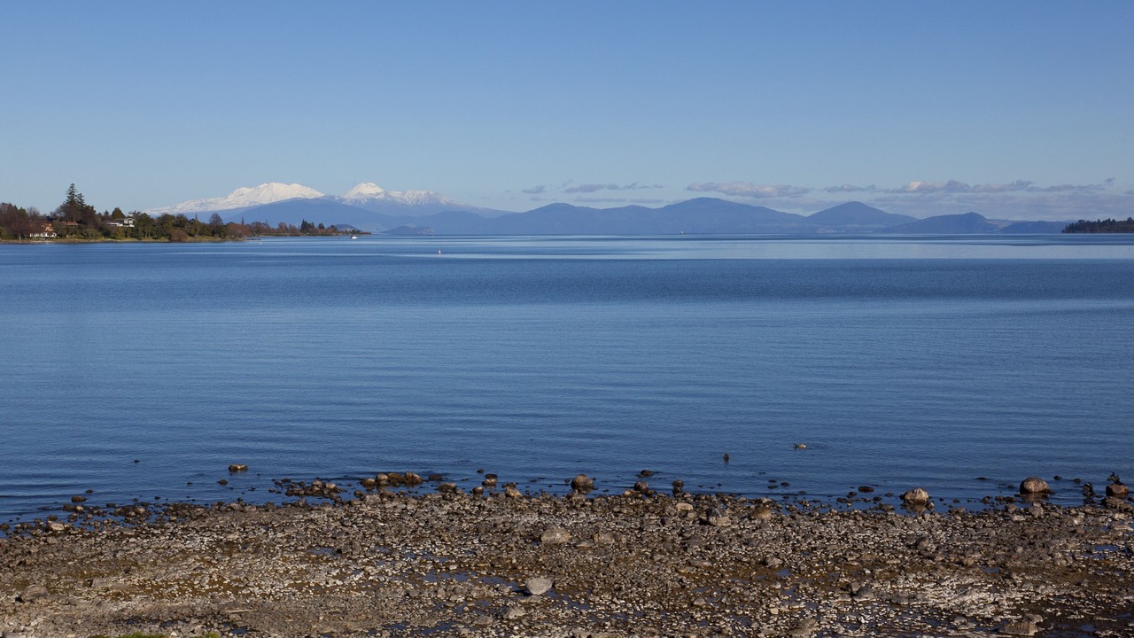 Photo of Outdoor in Waipahihi