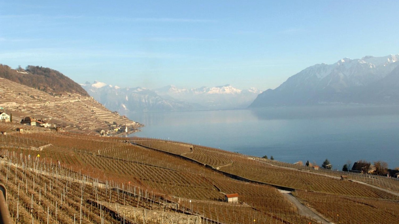 Photo of Others in Grandvaux