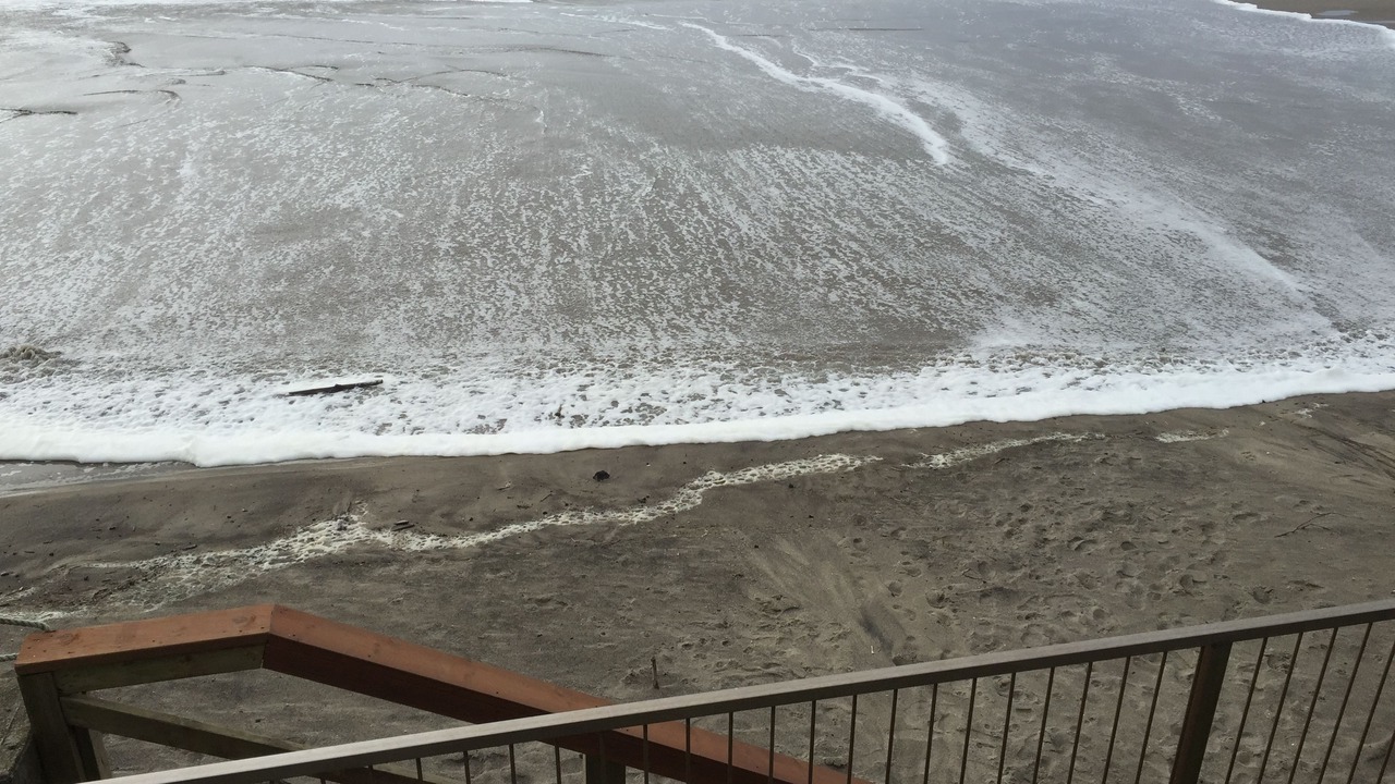 Photo of Others in Nelscott