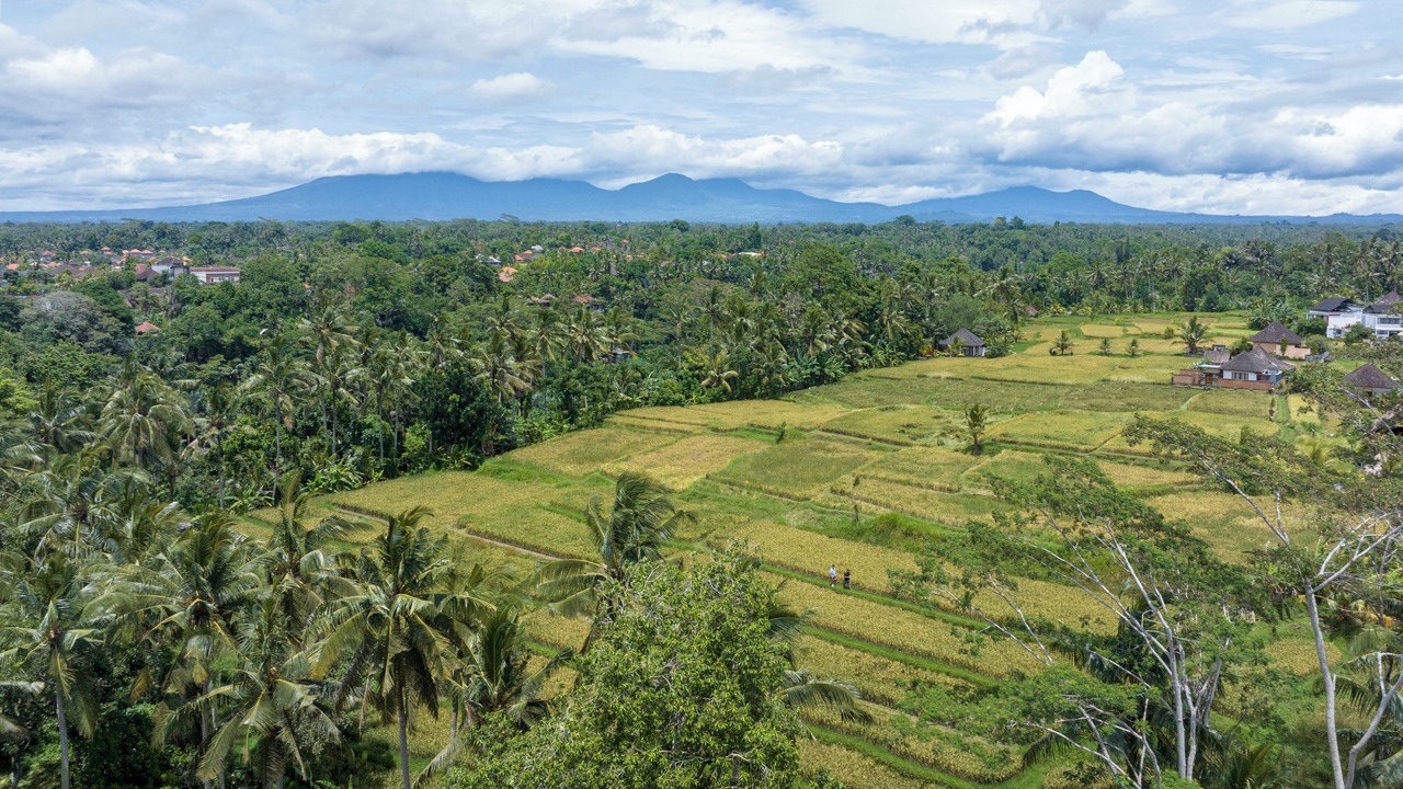 Photo of Outdoor in Kelusa