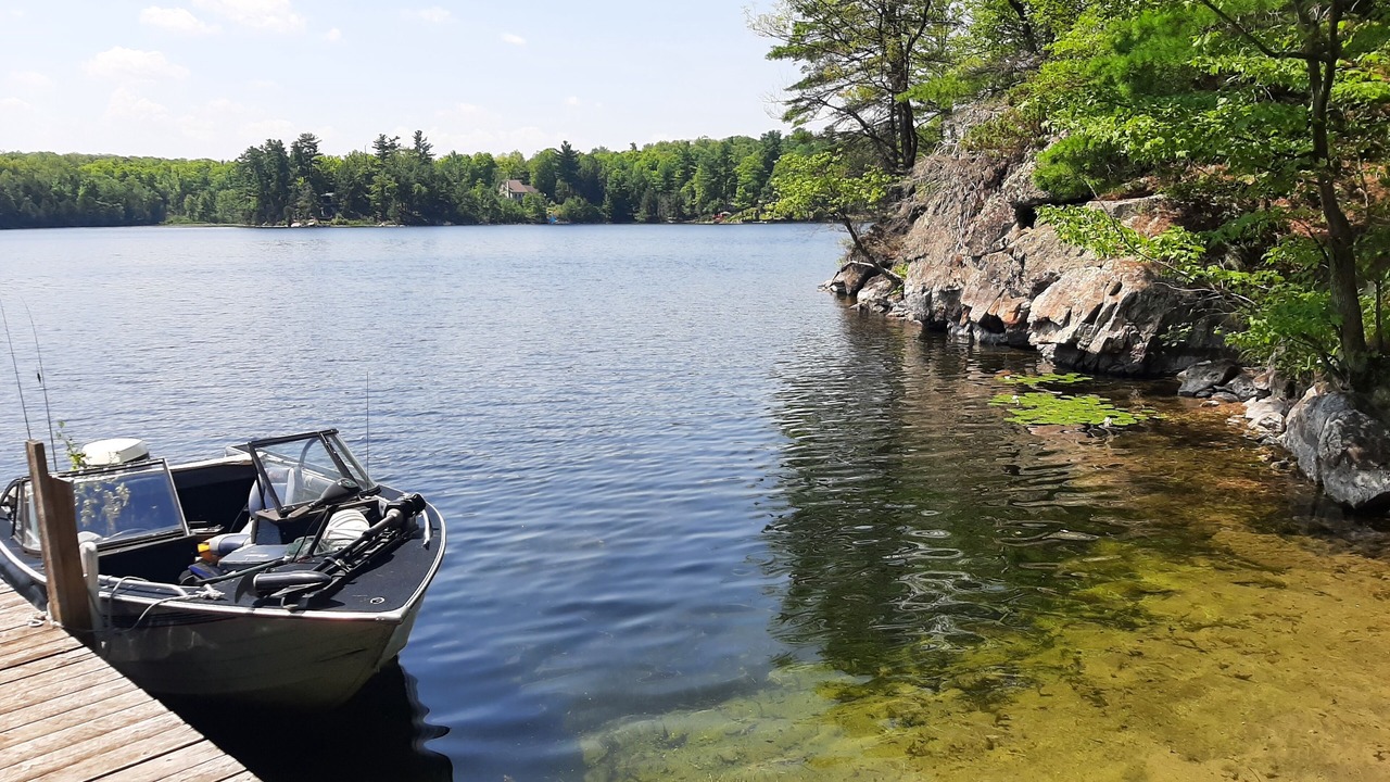 Photo of Outdoor in Tay Valley
