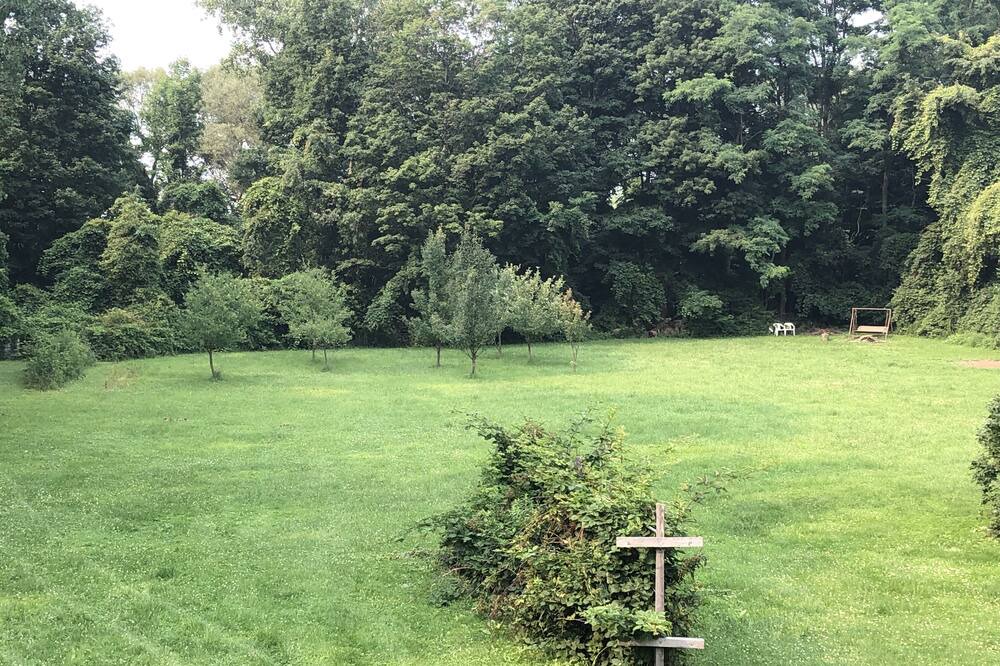 Photo of Outdoor in Skaneateles