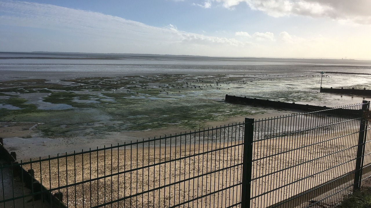 Photo of Others in Westcliff-on-Sea