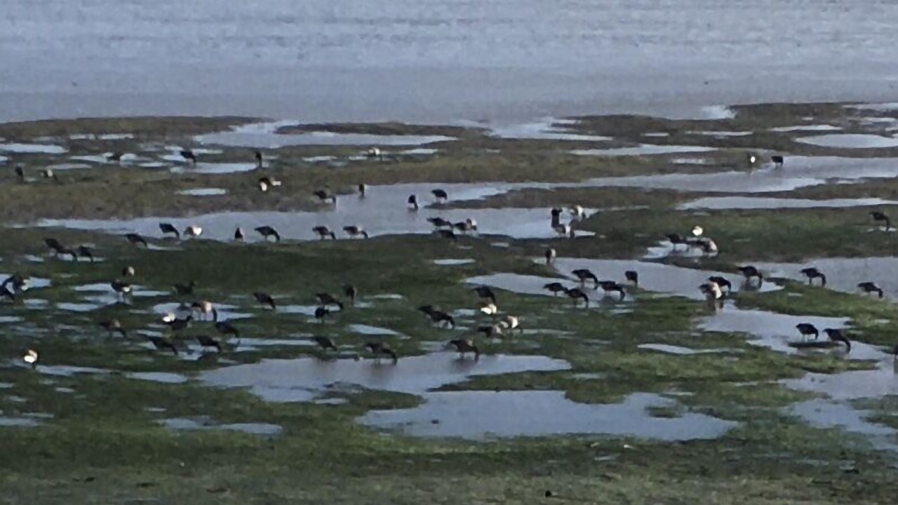 Photo of Outdoor in Westcliff-on-Sea