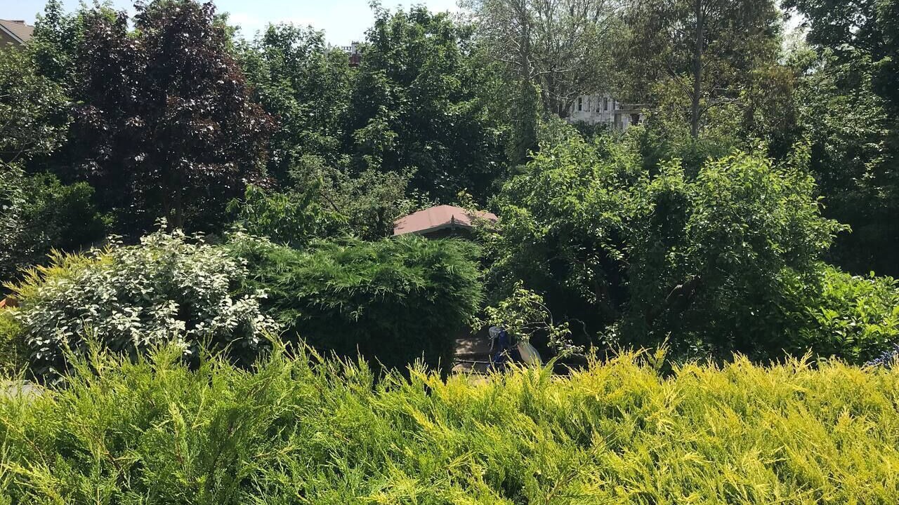 Photo of Outdoor in Westcliff-on-Sea