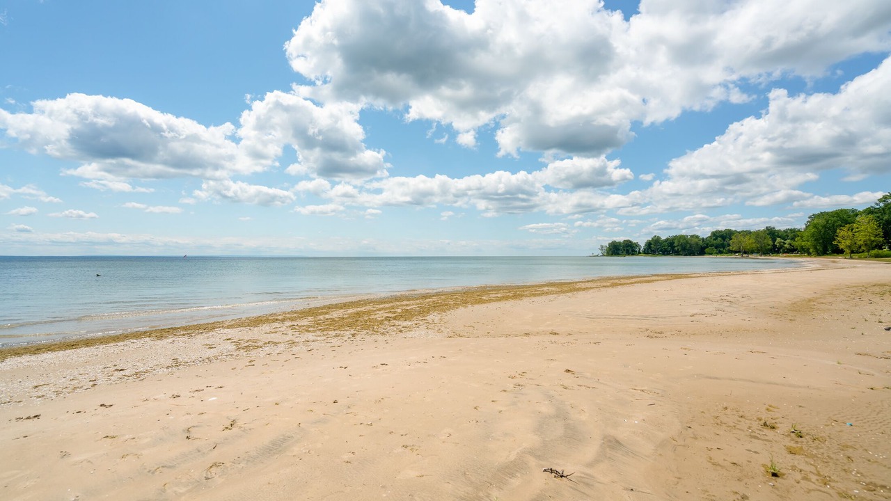 Photo of Others in Waverly Beach