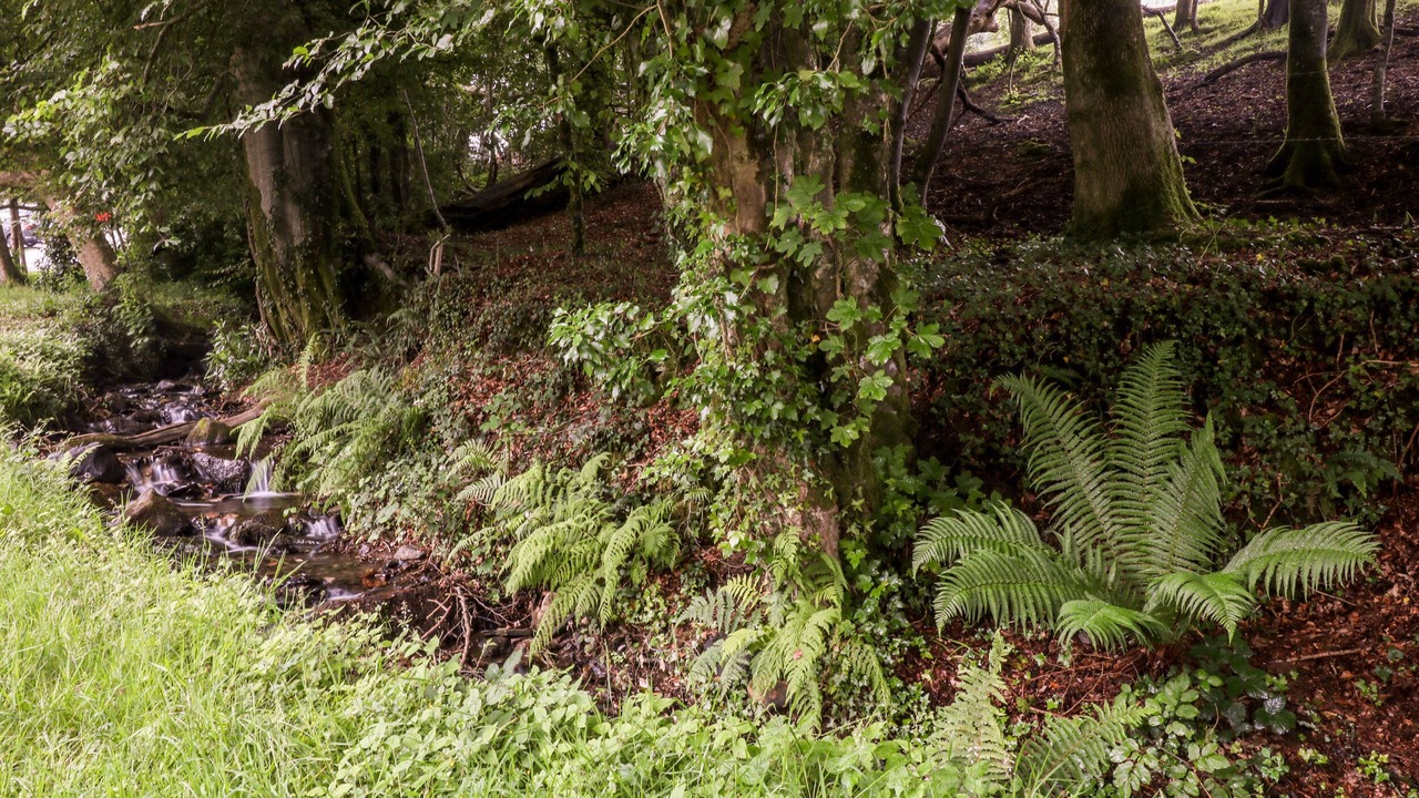 Photo of Others in St. Ann's Chapel