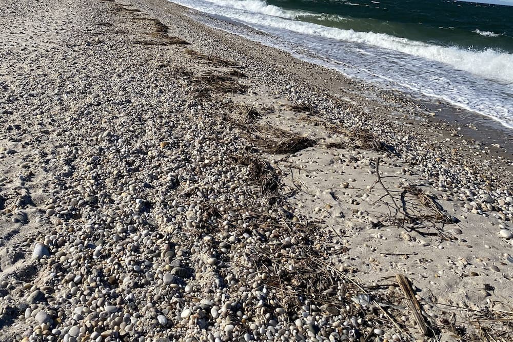 Photo of Others in Wading River