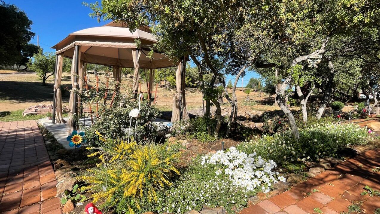 Photo of Outdoor in Descanso
